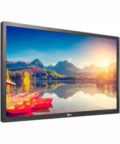 Monitores profesional LG