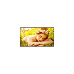 Alternative view of LG (43UL5Q-E) 43 IN / UHD 3840 X 2160 / BRILLO 500 NITS / RENDIM 24X7 / ORIENTACION HORIZONTAL VERTICAL / BEZEL 10.7 MM / VESA 200X200 MM / PESO 7,6 KG (43UL5Q-E.AEUQ)